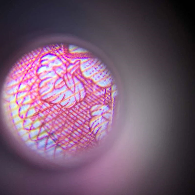 Universal Clip Microscope 60X LED Jewelry Magnifying Glass Focusing Adjusted Pocket Microscope with Cell Phone Clip UV Light