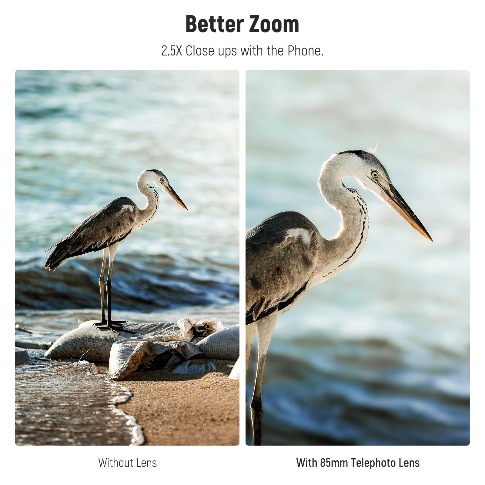 NEEWER HD 85MM Telephoto Phone Lens for 17mm Backplate 2.5X Magnification For iPhone Samsung Phone Cage Case