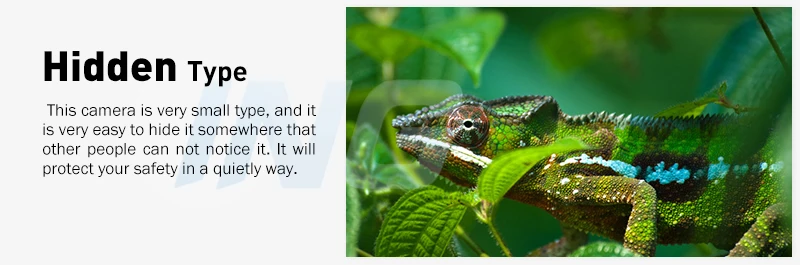 REVOTECH 4MP 5MP 2.8-12mm Manual Zoom Indoor Mini IP Camera HD Security ONVIF P2P IP CCTV Cam System Video Surveillance REVOTECH 4MP 5MP 2.8-12mm Manual Zoom Indoor Mini IP Camera HD Security ONVIF P2P IP CCTV Cam System Video Surveillance